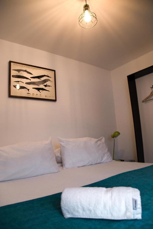 Hostal Boutique Terra Antarctica Punta Arenas Bagian luar foto
