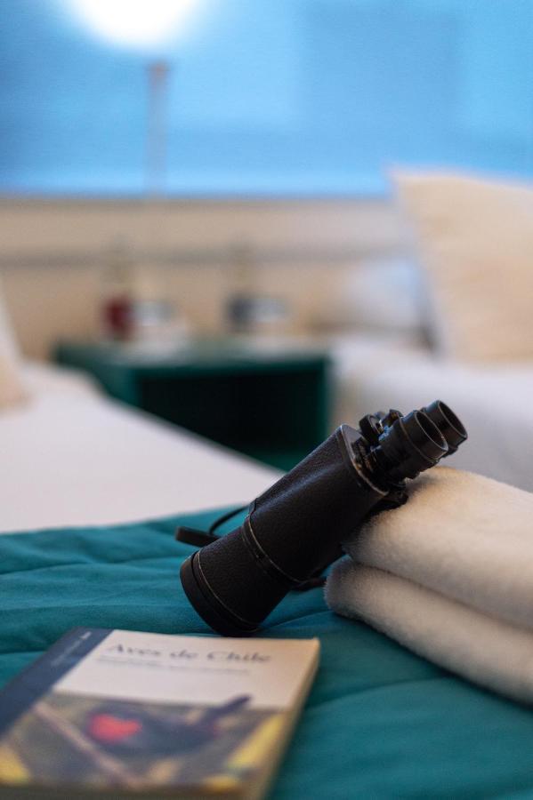 Hostal Boutique Terra Antarctica Punta Arenas Bagian luar foto